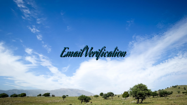 Email Verification